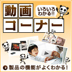 動画コーナー