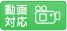 動画対応
