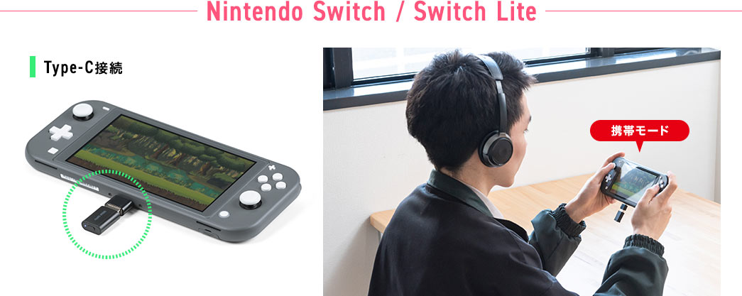 Nintendo Switch / Switch Lite