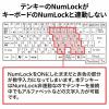 【在庫限り】抗菌テンキー