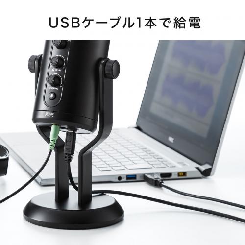 400-MC015PRO レビュー / 【処分特価】USBマイク 高音質 指向性選択