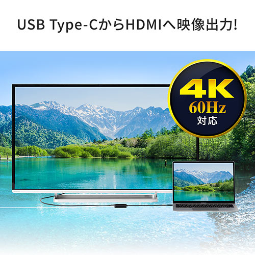 USB Type-C HDMI変換アダプタ 4K/60Hz HDR対応 PD100W  iPad Pro Air Nintendo Switch 有機ELモデル対応 ブラック