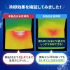 【アウトレット】ノートパソコンクーラー アルミ ペルチェ素子 冷却台 15.6インチ対応 USB給電 6段階角度調節 ストッパー付き