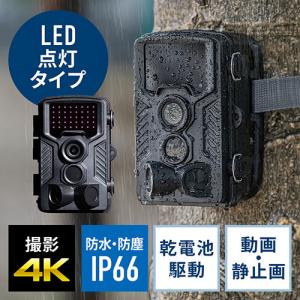 トレイルカメラ(4K・防犯カメラ・屋外・暗視・広角・タイムラプス・ループ録画・乾電池式・防水防塵IP66)