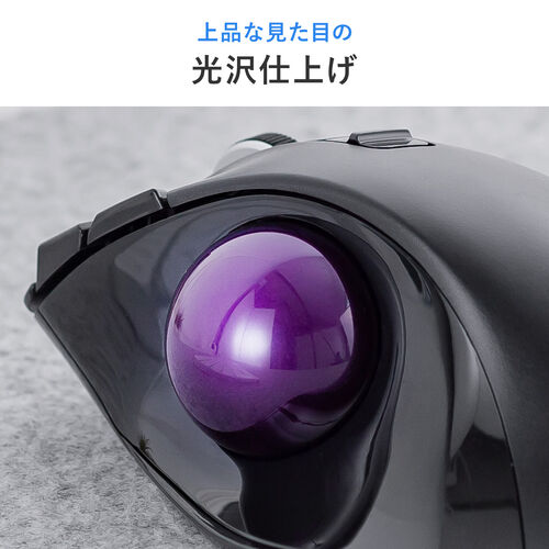 トラックボール 交換用ボール 34mm ブラック 光沢仕上げ【メモリ