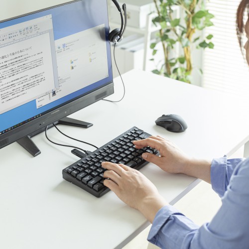 USBハブ付き キーボード テンキーなし JIS配列 メンブレン式 ブラック