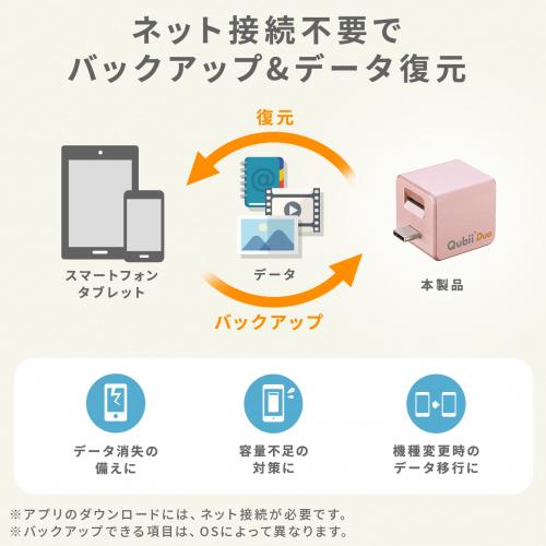 Qubii Duo USB-C iPhone iPad iOS Android 自動バックアップ