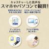 【アウトレット】オーディオキャプチャー パソコン不要 SD/USBメモリ保存 RCA/ステレオミニ外部入力